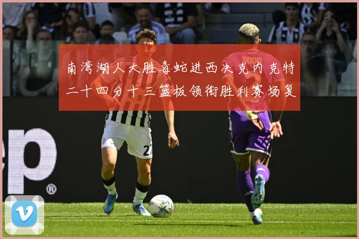 南湾湖人大胜毒蛇进西决克内克特二十四分十三篮板领衔胜利赛场复盘：最新赛事动态与深度分析